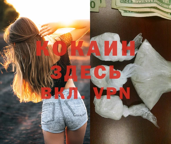 дмт Мегион