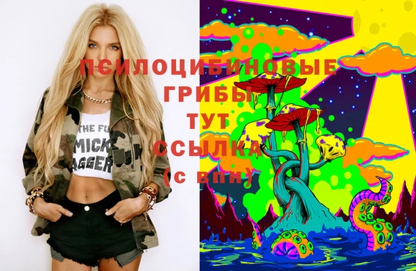дмт Мегион