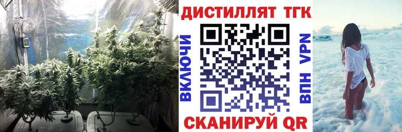 kraken   сайты даркнета телеграм  Дистиллят ТГК жижа  Новая Усмань 